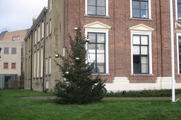 Kerstbomen in het centrum van Heerenveen fraai versierd