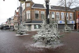 Kerstbomen in het centrum van Heerenveen fraai versierd