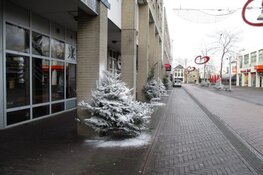 Kerstbomen in het centrum van Heerenveen fraai versierd