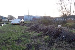 Bomenbezorgdienst Plan Boom gaat Fryslân vergroenen
