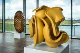 Wereldberoemde beelden Tony Cragg bij Belvédère