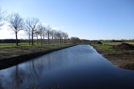 Skoatterwald staat in de steigers