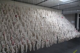 Kunstroute Open Stal in Oldeberkoop druk bezocht