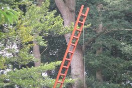 Kunstroute Open Stal in Oldeberkoop druk bezocht
