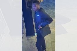 Gezocht: Wie herkent deze twee pinners?