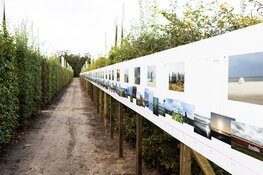 Oproep Visit Friesland resulteert in expositie met ruim duizend Friese horizonnen