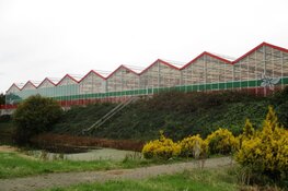 Tuincentrum Bos in Heerenveen definitief gesloten