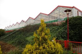 Tuincentrum Bos in Heerenveen definitief gesloten