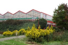 Tuincentrum Bos in Heerenveen definitief gesloten