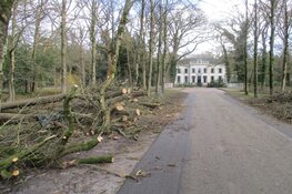 Stormschade Heerenveen en Oranjewoud in beeld