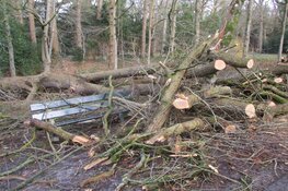 Stormschade Heerenveen en Oranjewoud in beeld