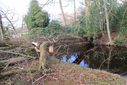 Stormschade Heerenveen en Oranjewoud in beeld