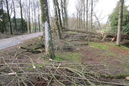 Stormschade Heerenveen en Oranjewoud in beeld