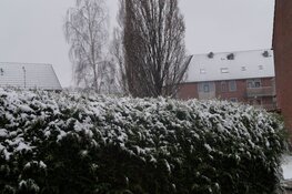 Winterse omstandigheden in Heerenveen