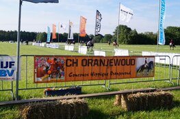 Concours Hippique Oranjewoud zeer geslaagd