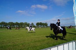Concours Hippique Oranjewoud zeer geslaagd