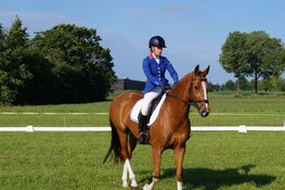 Concours Hippique Oranjewoud zeer geslaagd