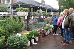 Gezellige drukte op de Skoattermarkt in Oudeschoot