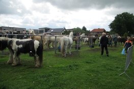 Gezellige drukte op de Skoattermarkt in Oudeschoot
