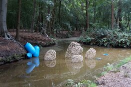 Kunstroute Open Stal in Oldeberkoop trekt nodige bezoekers