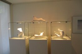 Tiende Kunstroute Heerenveen in beeld!