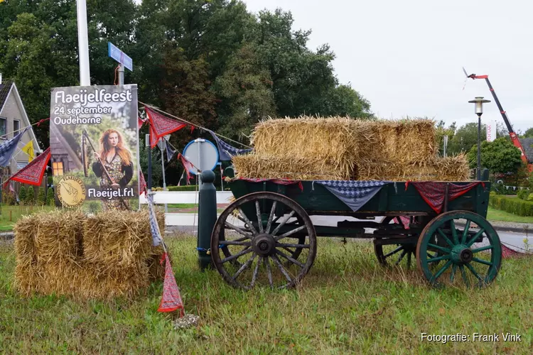 Flaeijelfeest in beeld
