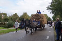 Flaeijelfeest in beeld