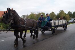 Flaeijelfeest in beeld
