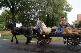 Flaeijelfeest in beeld