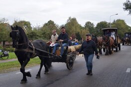 Flaeijelfeest in beeld