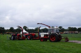 Flaeijelfeest in beeld