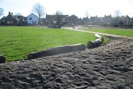 Herinrichting van grasveld Rozenstraat en Leliestraat in Heerenveen vordert!