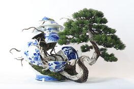 BOLD II in Museum Galerie van Museum Heerenveen