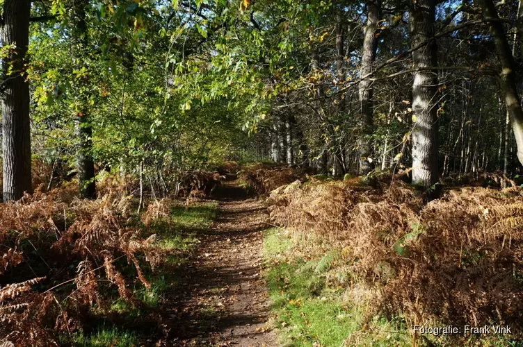 Gebiedsvisie voor parklandschap Oranjewoud