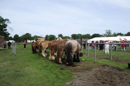 Skoattermerke in Oudeschoot druk bezocht