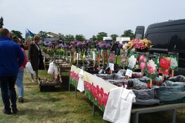 Skoattermerke in Oudeschoot druk bezocht