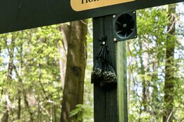 Wereldprimeur voor honden rondom Heerenveen