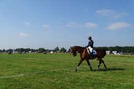 Eerste dag Concours Hippique Gorredijk onder stralende weersomstandigheden verlopen