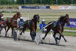Draver van Aonne de Wrede wint weer na veel blessureleed