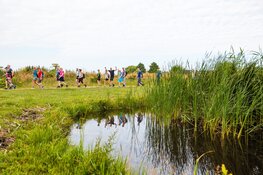Friesland op zijn mooist tijdens zonovergoten editie Mar-athon Sneek