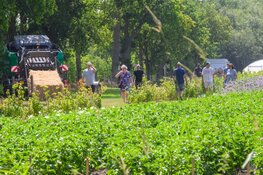 Veel belangstelling voor open dag zelfoogsttuin Nieuwehorne