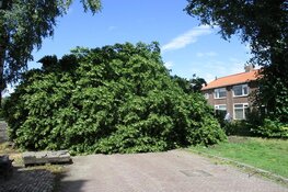 Aanzienlijke stormschade in Heerenveen door o.a. omgevallen bomen