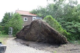 Aanzienlijke stormschade in Heerenveen door o.a. omgevallen bomen