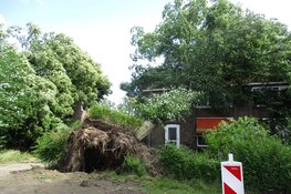 Aanzienlijke stormschade in Heerenveen door o.a. omgevallen bomen