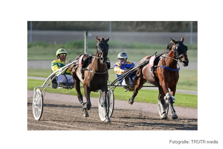 Aonne de Wrede wint meteen weer met toppaard