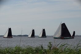 Skûtsje van Grou wint op Heegermeer bij Woudsend