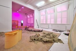 Irene de Boer in Afslag BLV