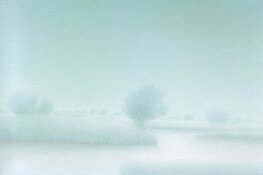 Weervrouw Tjitske Wiebenga opent tentoonstelling Nevels