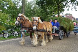 Boerenoptocht Flaeijelfeest druk bezocht