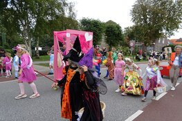 Allegorische optocht de Knipe trekt veel publiek